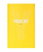 YOUCAT BRASIL imagem do produto - YOUCAT BRASIL