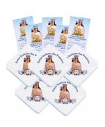 KIT LENÇO NOSSA SENHORA DOS PRAZERES COM ORAÇÃO