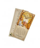 NOVENA PODEROSA AO ESPÍRITO SANTO + BRINDE 